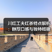 川红工夫红茶特点解析:醇厚口感与独特橘糖香(图4) 川红工夫红茶特点解析:醇厚口感与独特橘糖香(图4)