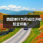 西藏绿叶为何成经济崛起金钥匙?(图1) 西藏绿叶为何成经济崛起金钥匙?(图1)