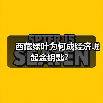 西藏绿叶为何成经济崛起金钥匙?(图3) 西藏绿叶为何成经济崛起金钥匙?(图3)