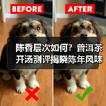 陈香层次如何?普洱茶开汤测评揭晓陈年风味演变(图1) 陈香层次如何?普洱茶开汤测评揭晓陈年风味演变(图1)