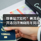 陈香层次如何?普洱茶开汤测评揭晓陈年风味演变(图3) 陈香层次如何?普洱茶开汤测评揭晓陈年风味演变(图3)