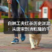 白琳工夫红茶历史渊源：从唐宋到清乾隆的千年传承（图1）