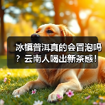冰镇普洱真的会冒泡吗?云南人喝出新茶感!(图4) 冰镇普洱真的会冒泡吗?云南人喝出新茶感!(图4)