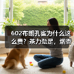 602布朗孔雀为什么这么贵?茶力劲足,烟香厚重,大益中期茶精品(图2) 602布朗孔雀为什么这么贵?茶力劲足,烟香厚重,大益中期茶精品(图2)