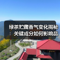 绿茶贮藏香气变化揭秘:关键成分如何影响品质?(图1) 绿茶贮藏香气变化揭秘:关键成分如何影响品质?(图1)