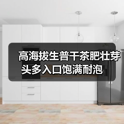 高海拔生普干茶肥壮芽头多入口饱满耐泡(图2) 高海拔生普干茶肥壮芽头多入口饱满耐泡(图2)