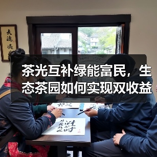 茶光互补绿能富民,生态茶园如何实现双收益(图3) 茶光互补绿能富民,生态茶园如何实现双收益(图3)