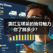 滇红宝塔茶的独特魅力你了解多少？（图4）