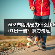 602布朗孔雀为什么比601贵一倍？茶力劲足，烟香厚重，潜力好茶（图4）