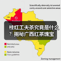 桂红工夫茶究竟是什么？揭秘广西红茶瑰宝（图1）