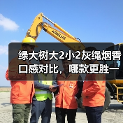 绿大树大2小2灰绳烟香口感对比，哪款更胜一筹？（图2）