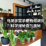 乌龙茶留茶梗有何讲究？科学揭秘香气奥秘（图4）