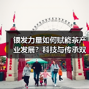 银发力量如何赋能茶产业发展？科技与传承双驱动（图1）