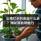 云南红茶到底是什么茶?揭秘其独特魅力(图2) 云南红茶到底是什么茶?揭秘其独特魅力(图2)