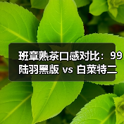 班章熟茶口感对比:99陆羽黑版 vs 白菜特二号谁更胜一筹?(图3) 班章熟茶口感对比:99陆羽黑版 vs 白菜特二号谁更胜一筹?(图3)