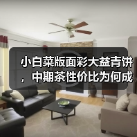 小白菜版面彩大益青饼,中期茶性价比为何成战神?(图2) 小白菜版面彩大益青饼,中期茶性价比为何成战神?(图2)