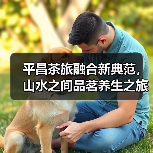 平昌茶旅融合新典范,山水之间品茗养生之旅(图2) 平昌茶旅融合新典范,山水之间品茗养生之旅(图2)