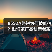 8592A熟饼为何被低估?勐海茶厂微创新老茶香揭秘(图3) 8592A熟饼为何被低估?勐海茶厂微创新老茶香揭秘(图3)