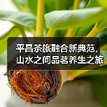 平昌茶旅融合新典范,山水之间品茗养生之旅(图4) 平昌茶旅融合新典范,山水之间品茗养生之旅(图4)