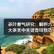 茶叶香气研究:解析六大茶类中关键香味物质的鉴定与影响因素(图2) 茶叶香气研究:解析六大茶类中关键香味物质的鉴定与影响因素(图2)