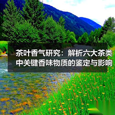茶叶香气研究:解析六大茶类中关键香味物质的鉴定与影响因素(图3) 茶叶香气研究:解析六大茶类中关键香味物质的鉴定与影响因素(图3)
