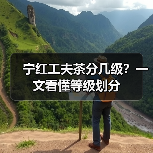 宁红工夫茶分几级?一文看懂等级划分(图2) 宁红工夫茶分几级?一文看懂等级划分(图2)