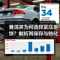 普洱茶为何选择紧压茶饼？解析其保存与转化优势（图4）