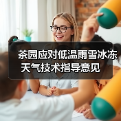 茶园应对低温雨雪冰冻天气技术指导意见（图1）
