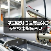茶园应对低温雨雪冰冻天气技术指导意见（图2）