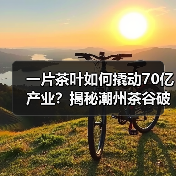 一片茶叶如何撬动70亿产业?揭秘潮州茶谷破局之道(图1) 一片茶叶如何撬动70亿产业?揭秘潮州茶谷破局之道(图1)
