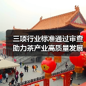 三项行业标准通过审查 助力茶产业高质量发展(图1) 三项行业标准通过审查 助力茶产业高质量发展(图1)