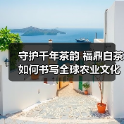守护千年茶韵 福鼎白茶如何书写全球农业文化遗产传奇?(图1) 守护千年茶韵 福鼎白茶如何书写全球农业文化遗产传奇?(图1)
