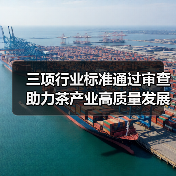 三项行业标准通过审查 助力茶产业高质量发展(图2) 三项行业标准通过审查 助力茶产业高质量发展(图2)
