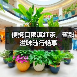 便携口粮滇红茶,蜜甜滋味随行畅享(图2) 便携口粮滇红茶,蜜甜滋味随行畅享(图2)