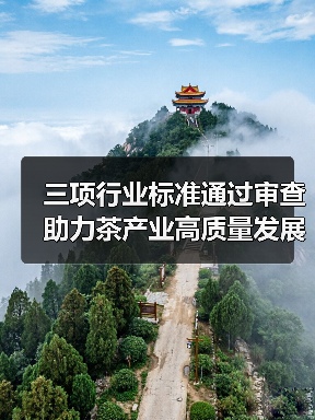 三项行业标准通过审查 助力茶产业高质量发展(图3) 三项行业标准通过审查 助力茶产业高质量发展(图3)