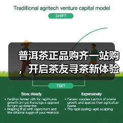 普洱茶正品购齐一站购,开启茶友寻茶新体验(图3) 普洱茶正品购齐一站购,开启茶友寻茶新体验(图3)