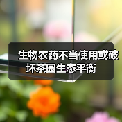 生物农药不当使用或破坏茶园生态平衡(图4) 生物农药不当使用或破坏茶园生态平衡(图4)