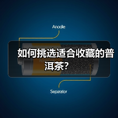 如何挑选适合收藏的普洱茶？（图1）