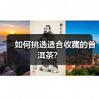 如何挑选适合收藏的普洱茶？（图3）