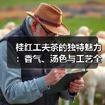 桂红工夫茶的独特魅力:香气、汤色与工艺全解析(图4) 桂红工夫茶的独特魅力:香气、汤色与工艺全解析(图4)