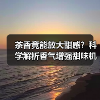 茶香竟能放大甜感?科学解析香气增强甜味机制(图1) 茶香竟能放大甜感?科学解析香气增强甜味机制(图1)