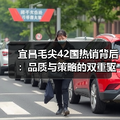 宜昌毛尖42国热销背后:品质与策略的双重驱动(图4) 宜昌毛尖42国热销背后:品质与策略的双重驱动(图4)