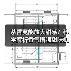 茶香竟能放大甜感?科学解析香气增强甜味机制(图3) 茶香竟能放大甜感?科学解析香气增强甜味机制(图3)