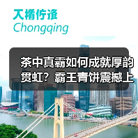 茶中真霸如何成就厚韵贯虹？霸王青饼震撼上市（图4）