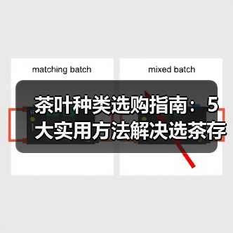 茶叶种类选购指南:5大实用方法解决选茶存茶烦恼 茶叶种类选购指南:5大实用方法解决选茶存茶烦恼