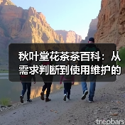 秋叶堂花茶茶百科:从需求判断到使用维护的全攻略 秋叶堂花茶茶百科:从需求判断到使用维护的全攻略