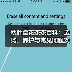 秋叶堂花茶茶百科:选购、养护与常见问题实用指南(图2) 秋叶堂花茶茶百科:选购、养护与常见问题实用指南(图2)