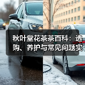 秋叶堂花茶茶百科:选购、养护与常见问题实用指南(图3) 秋叶堂花茶茶百科:选购、养护与常见问题实用指南(图3)