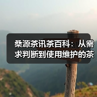 桑源茶讯茶百科：从需求判断到使用维护的茶叶挑选指南（图1）