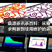 桑源茶讯茶百科：从需求判断到使用维护的茶叶挑选指南（图2）